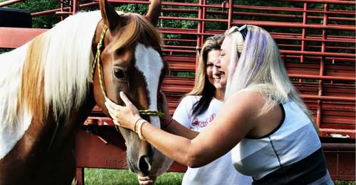 Stolen Horse Reunites With His Owner After 10 Years Apart